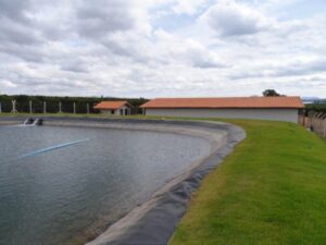 36b79362f51233769800