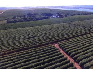 3a9b4de726731a9cdbb0