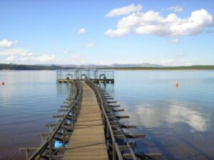 48681c8227ccb2497fb1