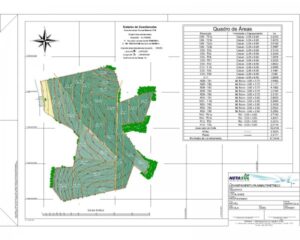 55407714afeb749dc69a