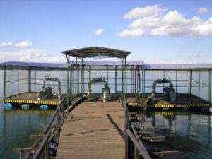 9d22ce01cf7fa2e7bdf0