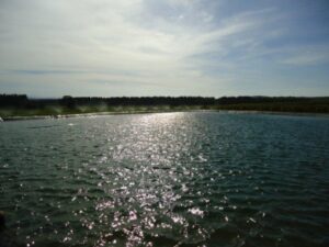 e88e1c3acd5a6cdd75dd