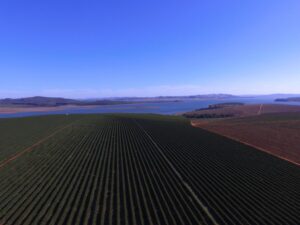 f903a5ee761aeec15995